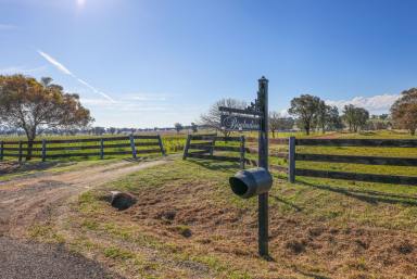 Mixed Farming For Sale - NSW - Tamworth - 2340 - POTENTIAL PLUS IN A GREAT LOCATION  (Image 2)