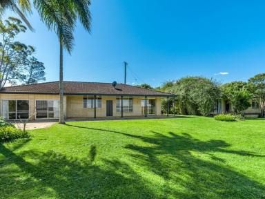 Acreage/Semi-rural For Sale - NSW - Clunes - 2480 - A Unique Rural Opportunity  (Image 2)