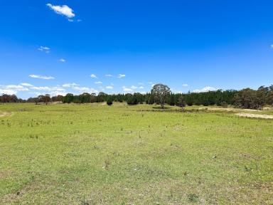 Livestock For Sale - NSW - Windellama - 2580 - 200 Acres with Dwelling Entitlement To Build,  Grazing, Lifestyle, Mostly level, Road Front, Power, Dams. Beautiful Countryside.  (Image 2)