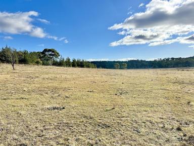 Livestock For Sale - NSW - Windellama - 2580 - 200 Acre Property, Dwelling Entitlement To Build Your Country Homestead, Grazing, Lifestyle, Road Front, Power, Dams.  (Image 2)