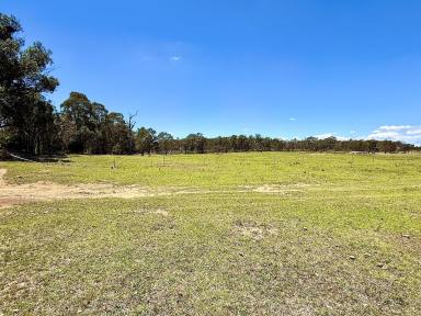 Livestock For Sale - NSW - Windellama - 2580 - 200 Acres with Dwelling Entitlement To Build,  Grazing, Lifestyle, Mostly level, Road Front, Power, Dams. Beautiful Countryside.  (Image 2)