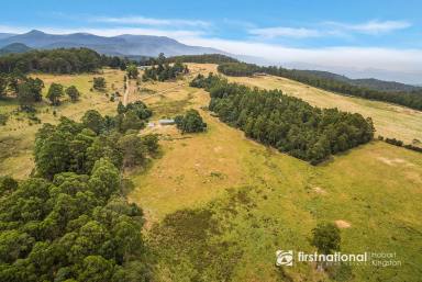 House For Sale - TAS - Sandfly - 7150 - Charming Rural Retreat on 25 Acres of Bushland and Pasture  (Image 2)