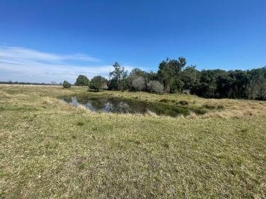 Mixed Farming For Sale - NSW - Tatham - 2471 - EXPRESSION OF INTEREST - LIVESTOCK / CROPPING - 102 ACRES TATHAM  (Image 2)