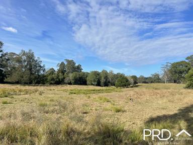 Other (Rural) For Sale - NSW - Yorklea - 2470 - 185+ Fertile Acres  (Image 2)