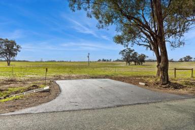 Residential Block For Sale - VIC - Goornong - 3557 - New land release - Rural Living Zoning - 26.8 acres  (Image 2)