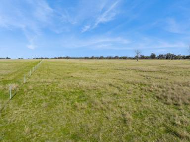 Residential Block For Sale - VIC - Goornong - 3557 - New land release - Rural Living Zoning - 26.8 acres  (Image 2)