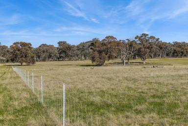 Residential Block For Sale - VIC - Goornong - 3557 - New land release - Rural Living Zoning - 15.6 acres  (Image 2)