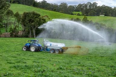 Dairy Auction - NSW - Megan - 2453 - High Rainfall, High Performance, High Profits  (Image 2)