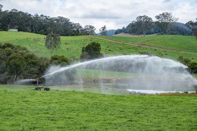 Mixed Farming For Sale - NSW - Dorrigo - 2453 - Valleyrose, Dorrigo  (Image 2)