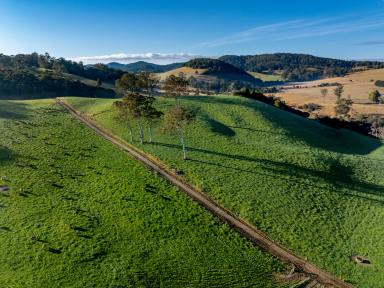 Mixed Farming For Sale - NSW - Dorrigo - 2453 - Valleyrose, Dorrigo  (Image 2)