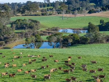 Mixed Farming For Sale - NSW - Dorrigo - 2453 - Valleyrose Dairy (Image 2)