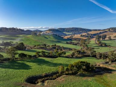 Mixed Farming For Sale - NSW - Dorrigo - 2453 - Valleyrose, Dorrigo (Image 2)