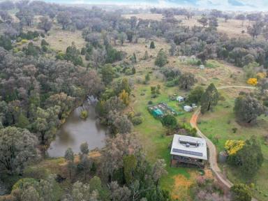 Lifestyle Auction - NSW - Crowther - 2803 - 140 Unique acres 25 mins to Young & Cowra  (Image 2)