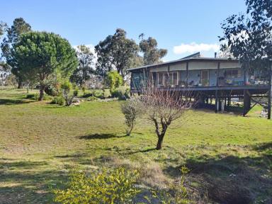 Lifestyle Auction - NSW - Crowther - 2803 - 140 Unique acres 25 mins to Young & Cowra  (Image 2)