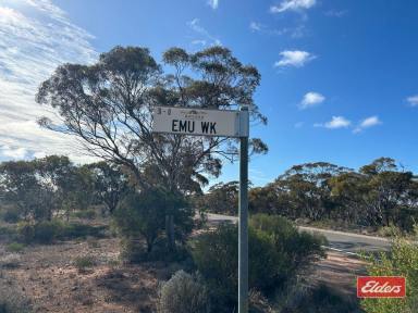 Residential Block For Sale - SA - Bower - 5374 - SECTION 166 EMU WALK ( OFF THIELE HIGHWAY ) BOWER  (Image 2)