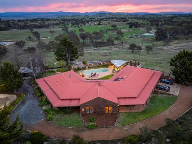 Acreage/Semi-rural For Sale - NSW - Wallaroo - 2618 - Our Age and Health = Forces Downsize  (Image 2)