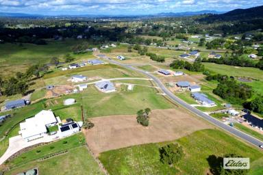 Residential Block For Sale - QLD - Chatsworth - 4570 - LAST ONE! 1 acre VIEWS VIEWS!  (Image 2)