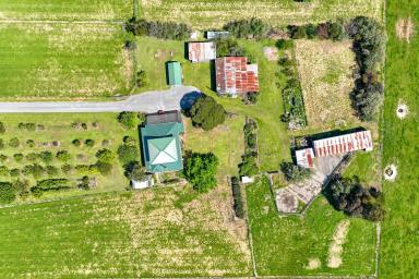 Lifestyle For Sale - VIC - Drouin - 3818 - 5 Acres in a Fantastic Location  (Image 2)