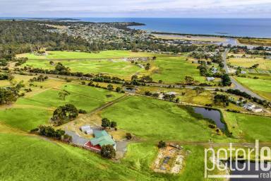 House For Sale - TAS - Bridport - 7262 - Stunning Ocean Views from this Expansive Home  (Image 2)