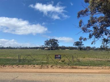 Mixed Farming Sold - WA - Merredin - 6415 - HISTORIC WHEATBELT COUNTRY ESCAPE  (Image 2)