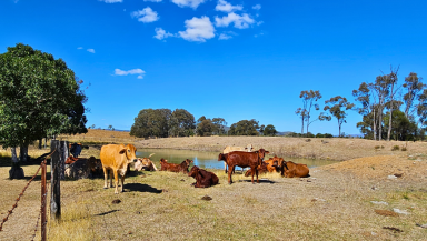 Other (Rural) For Sale - QLD - Ban Ban Springs - 4625 - 472-Acre Rural Retreat in Queensland's North Burnett Region  (Image 2)