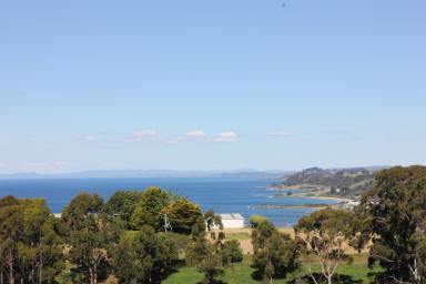 Residential Block For Sale - TAS - Heybridge - 7316 - Spectacular Sea Views  (Image 2)