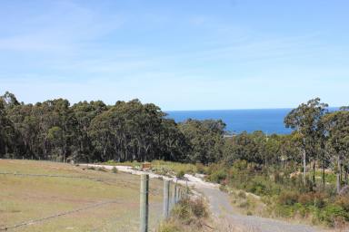 Residential Block For Sale - TAS - Heybridge - 7316 - Spectacular Sea Views  (Image 2)