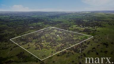 Other (Rural) For Sale - SA - Keyneton - 5353 - PRICE REDUCED...  (Image 2)