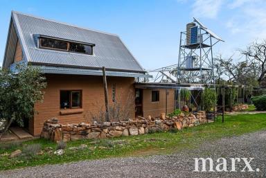 Other (Rural) For Sale - SA - Keyneton - 5353 - PRICE REDUCED...  (Image 2)