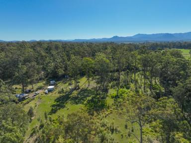 Residential Block For Sale - NSW - Upper Lansdowne - 2430 - A quite place to call home!  (Image 2)