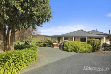 House For Sale - VIC - Thorpdale - 3835 - Soul Soothing Gardens, Views and Serene Lifestyle  (Image 2)