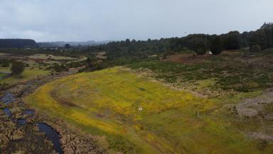 Residential Block For Sale - TAS - Waratah - 7321 - Piece of paradise  (Image 2)