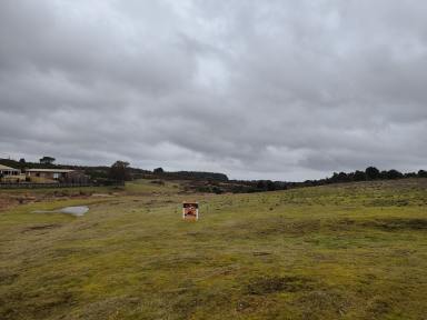 Residential Block For Sale - TAS - Waratah - 7321 - Piece of paradise  (Image 2)