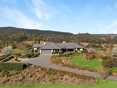 Lifestyle Sold - NSW - Brayton - 2579 - On Top Of The World  (Image 2)