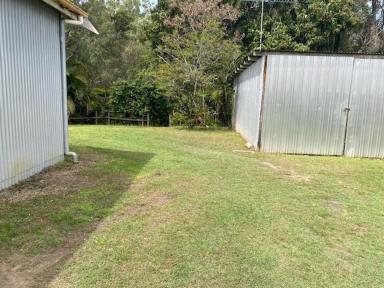 House For Sale - QLD - Berserker - 4701 - Large house, large block, 2 x sheds, backing onto park at rear and living up and downstairs  (Image 2)