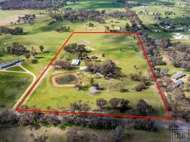 Lifestyle For Sale - NSW - Jindera - 2642 - “Complete small farm in popular Jindera township”  (Image 2)