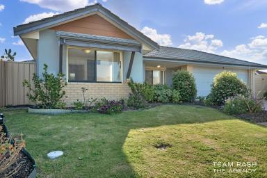 House Sold - WA - Bertram - 6167 - Contemporary Comfort and Convenience at 15 Millom Way, Bertram WA 6167  (Image 2)