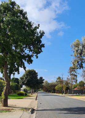 Residential Block For Sale - SA - Tanunda - 5352 - Views of the Valley & Vines  (Image 2)