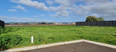 Residential Block For Sale - SA - Tanunda - 5352 - Views of the Valley & Vines  (Image 2)