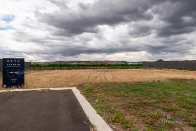 Residential Block For Sale - SA - Tanunda - 5352 - Views of the Valley & Vines  (Image 2)