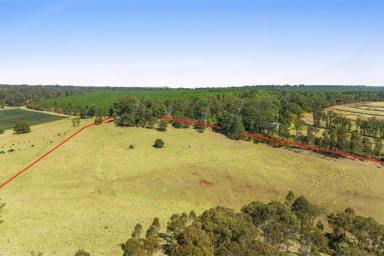 Other (Rural) For Sale - QLD - Hampton - 4352 - 100 Acres of Pristine Grazing and Country Lifestyle Paradise with Escarpment Views at Hampton. EOI. Closing 30 September 2024 (If Not Sold Prior)  (Image 2)