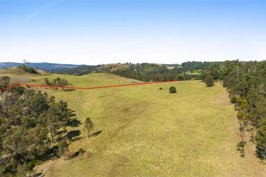 Other (Rural) For Sale - QLD - Hampton - 4352 - 100 Acres of Pristine Grazing and Country Lifestyle Paradise with Escarpment Views at Hampton. EOI. Closing 30 September 2024 (If Not Sold Prior)  (Image 2)