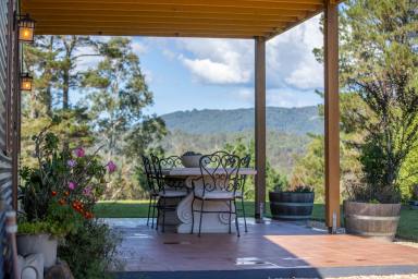 Lifestyle For Sale - NSW - Moonpar - 2453 - 'Jannali', 165*acres with a beautiful 2018 built home  (Image 2)