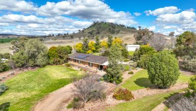 Lifestyle For Sale - NSW - Werris Creek - 2341 - A NEW OUTLOOK ON LIFE  (Image 2)