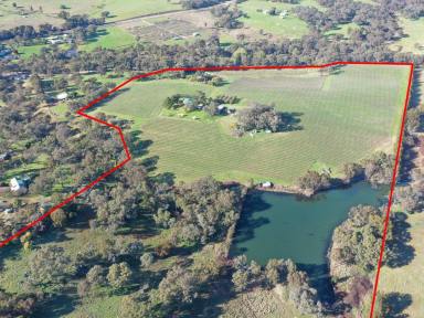 Mixed Farming Sold - NSW - Young - 2594 - "ROCKLEIGH" 47acs* Only Minutes To Town  (Image 2)