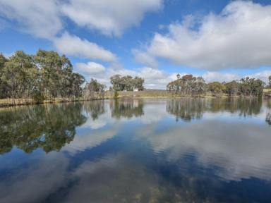 Mixed Farming Sold - NSW - Young - 2594 - "ROCKLEIGH" 47acs* Only Minutes To Town  (Image 2)