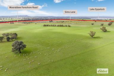 Other (Rural) For Sale - VIC - Knowsley - 3523 - Grazing and Cropping Country or Picturesque Setting for a New Homestead  (Image 2)