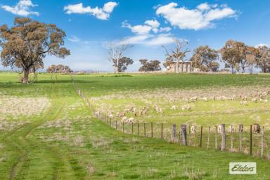 Other (Rural) For Sale - VIC - Knowsley - 3523 - Grazing and Cropping Country or Picturesque Setting for a New Homestead  (Image 2)