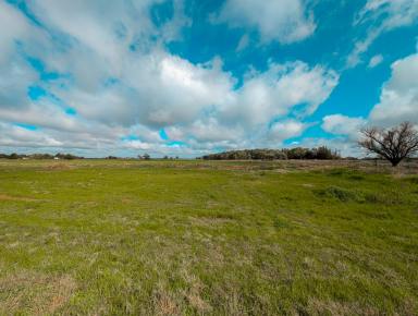 Residential Block For Sale - VIC - Kerang - 3579 - Unique 3.41 Ha (8.5 Acres) Farmlet  (Image 2)