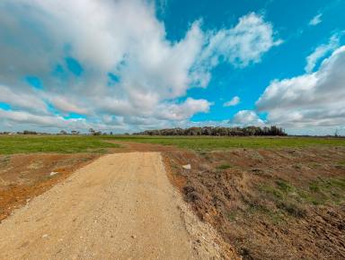 Residential Block For Sale - VIC - Kerang - 3579 - Unique 3.41 Ha (8.5 Acres) Farmlet  (Image 2)